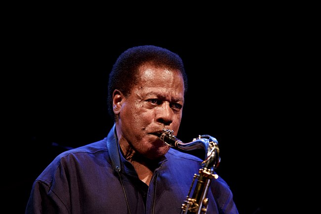 Wayne Shorter, 2012 (photo by Kristoffer Juel Poulsen)